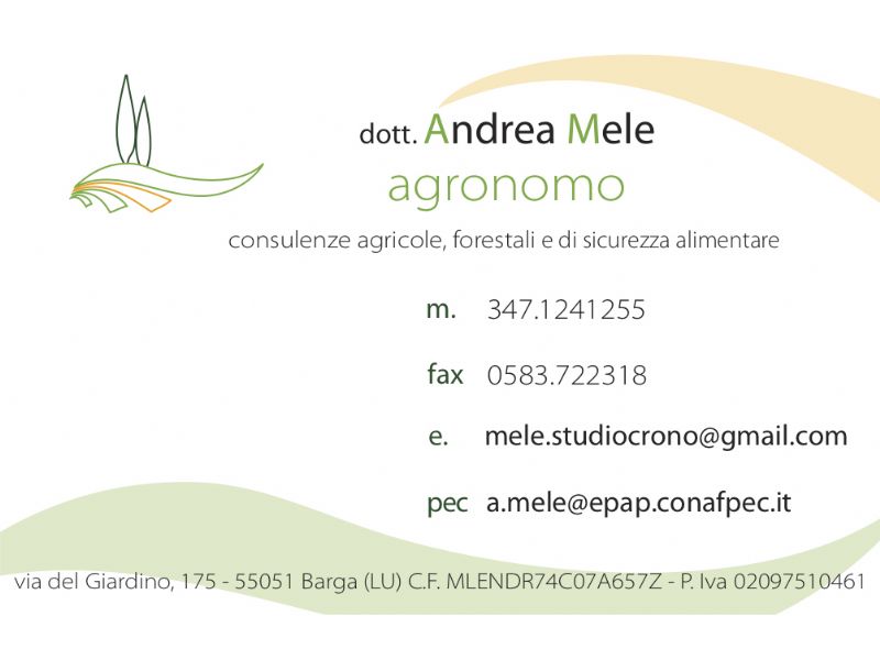 Biglietto da visita Andrea Mele