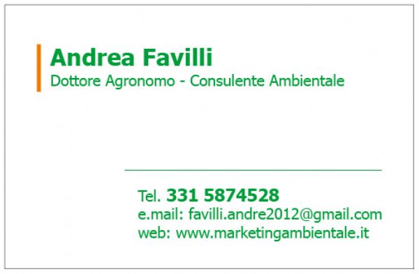 Biglietto da visita ANDREA FAVILLI